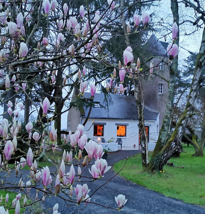 Le Moulin De La Retardiere Orvault Bagian luar foto