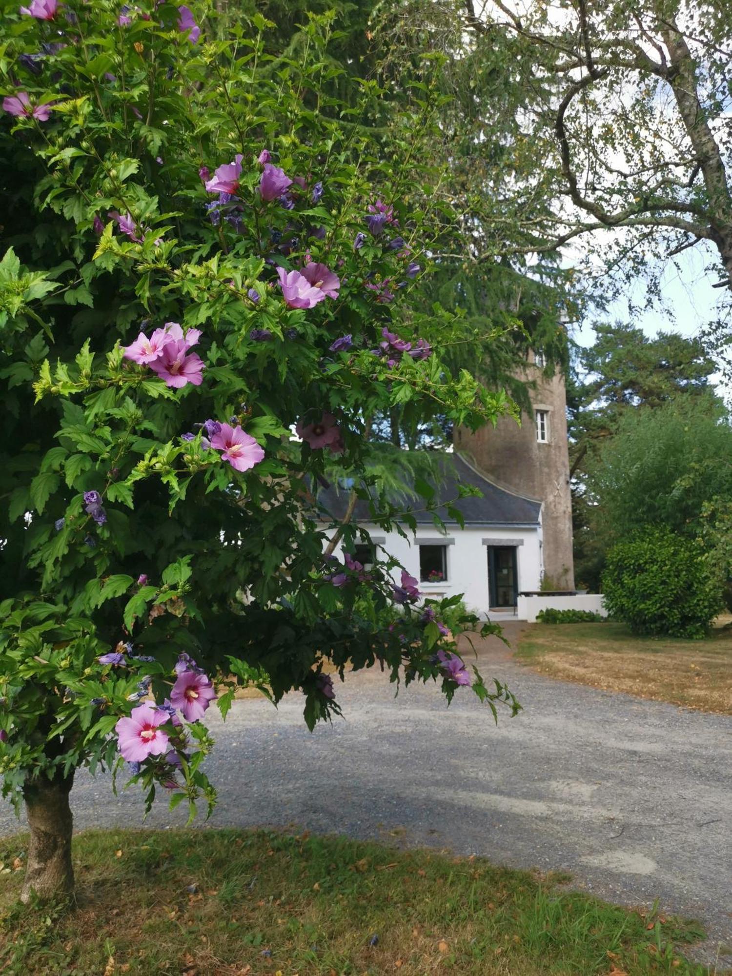 Le Moulin De La Retardiere Orvault Bagian luar foto